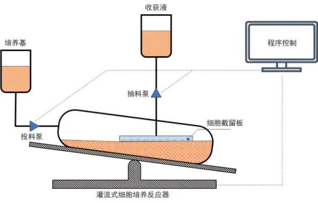 灌流式生物反應(yīng)袋結(jié)構(gòu)示意圖